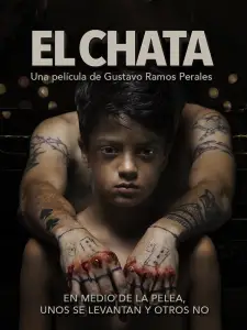 Спарринг-партнер (фильм 2017)