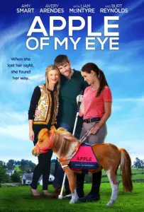 Зеница ока (фильм 2016)