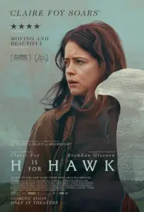 «Я» значит Ястреб (фильм 2025)
