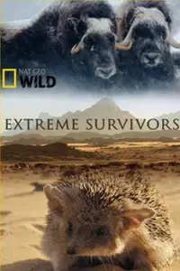 National Geographic. Выжить несмотря ни на что (фильм 2014)