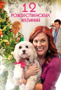 12 Рождественских желаний (фильм 2011)